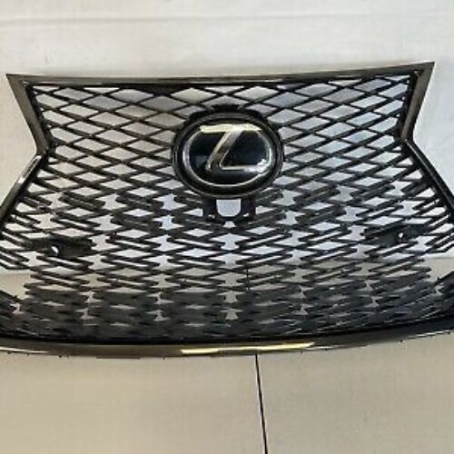 2019-2020 Lexus NX300 F-Sport Front Bumper Lower Grille With Chrome Surround OEM